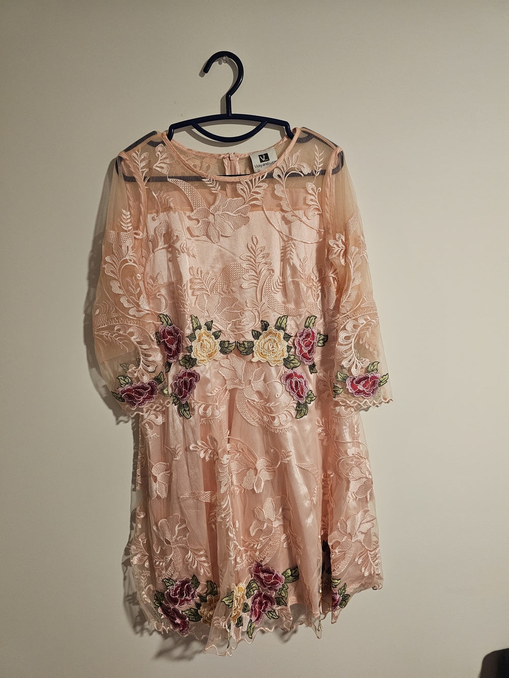 Embroidered Sheer Long-Sleeve Dress in Blush Pink